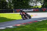 Advanced Group Orange Bikes